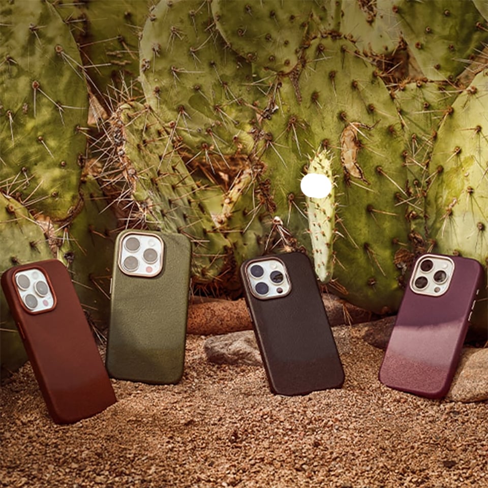 Cactus Collection